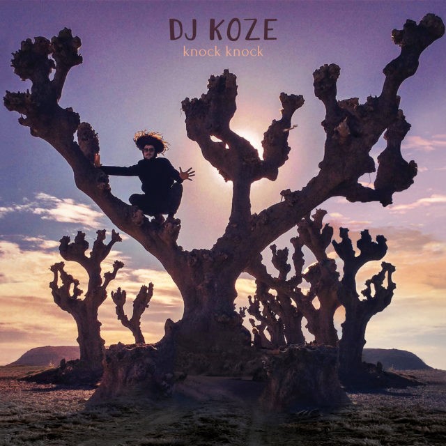 DJ Koze Knock Knock album cover